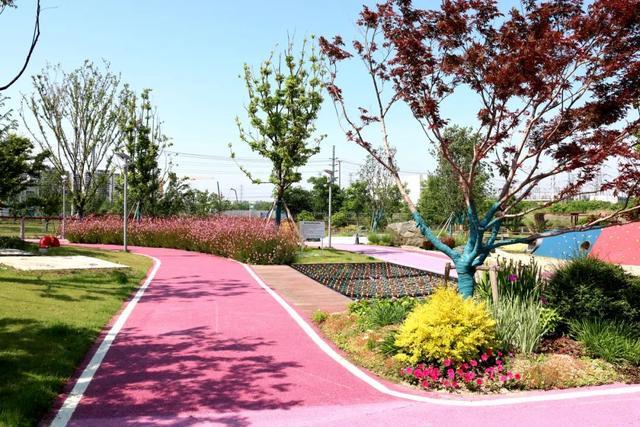 摇马_三霄娘娘摇钱叫马_494918摇钱网站马会开