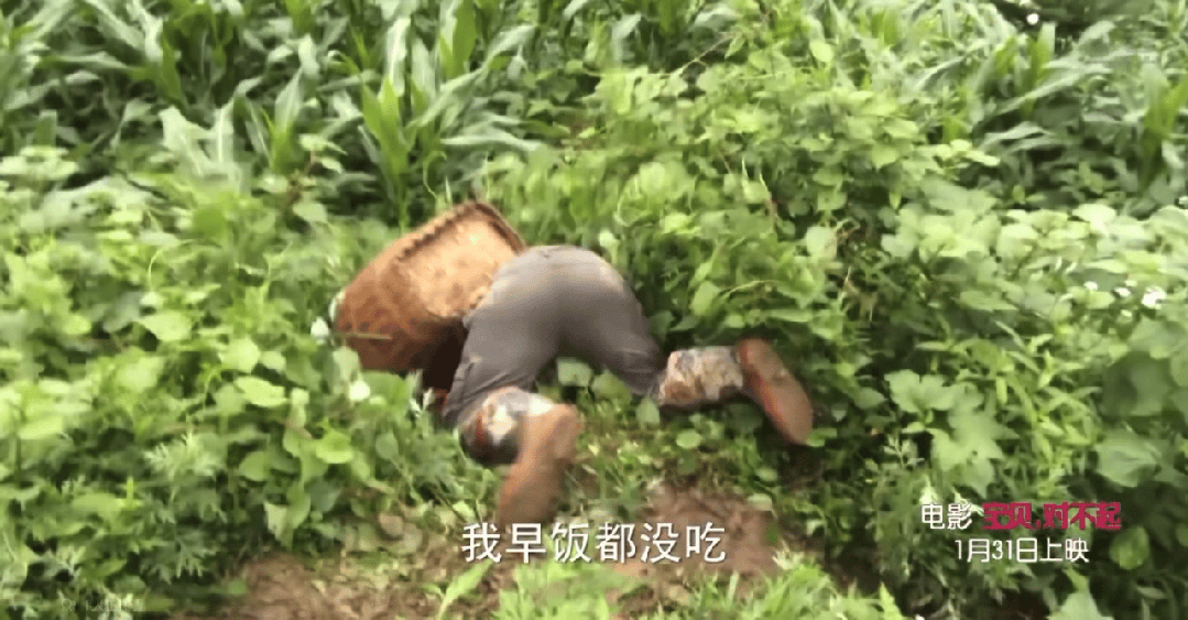 还记得王艳儿子“球球”王泓钦吗？颜值逆袭了？