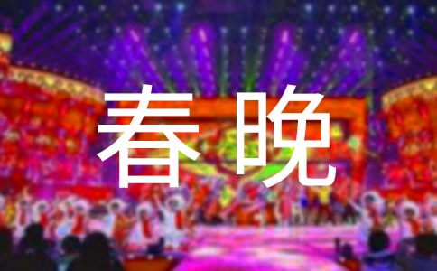 央视春晚心得体会