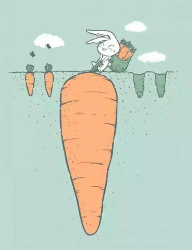 幼儿园的24种扑克牌智力游戏+1种燃爆的建构游戏