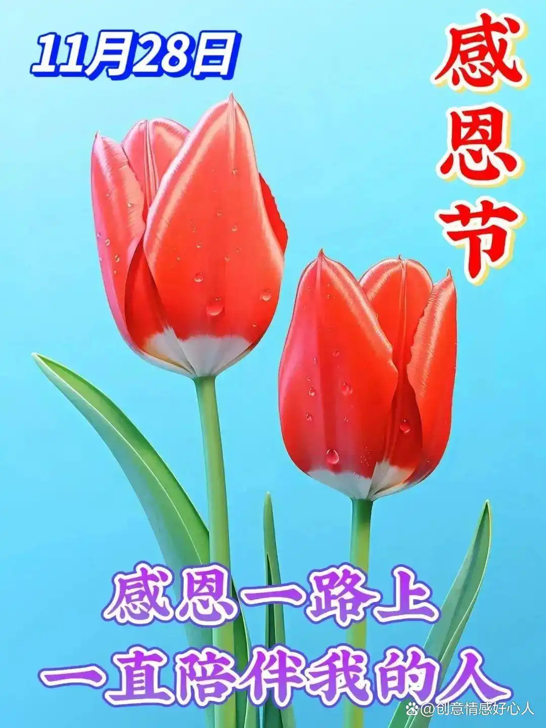 感恩家人朋友生活美好_关于感恩节的图片_感恩节温暖意义