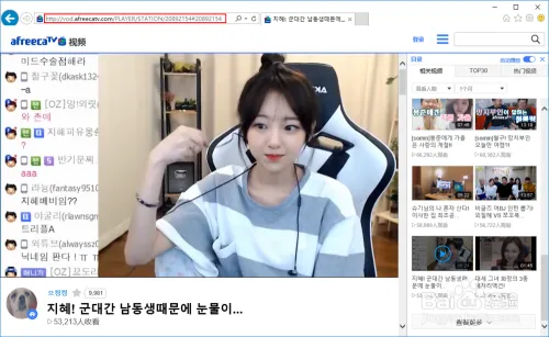 如何下载 AfreecaTv 中的视频，视频下载教程