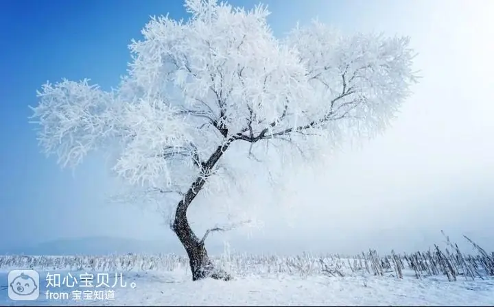 [色彩冬天]难忘的童年记忆雪后趣事