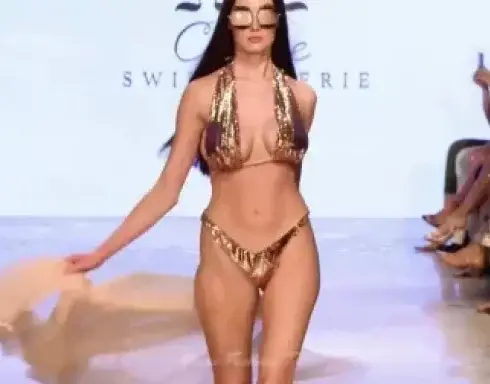 欧美内衣秀，模特身材太好了，衣服根本兜不住