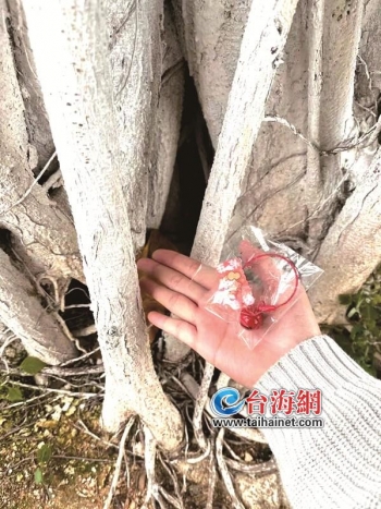 社交平台寻宝游戏_厦门城市寻宝_寻宝游戏规则