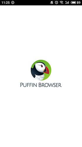 puffin浏览器 v10.4.1.51678 安卓版