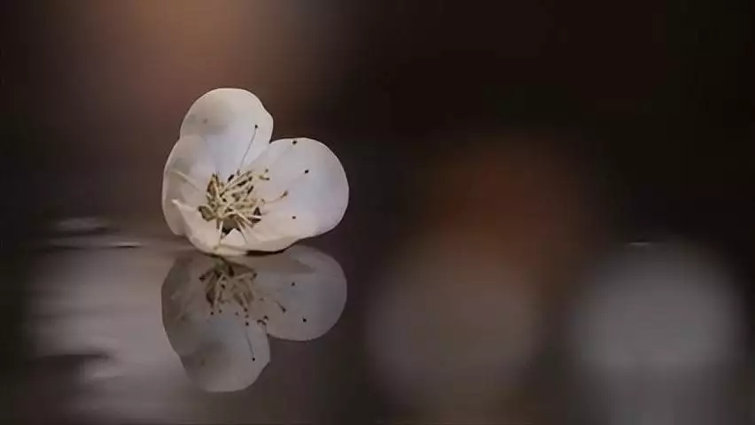 12月是什么星座_白羊座断舍离特点_星座断舍离