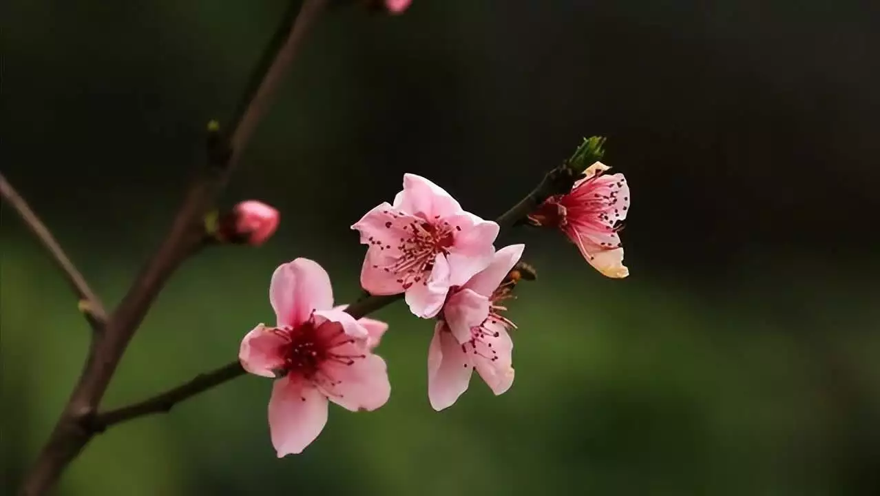 星座断舍离_12月是什么星座_白羊座断舍离特点