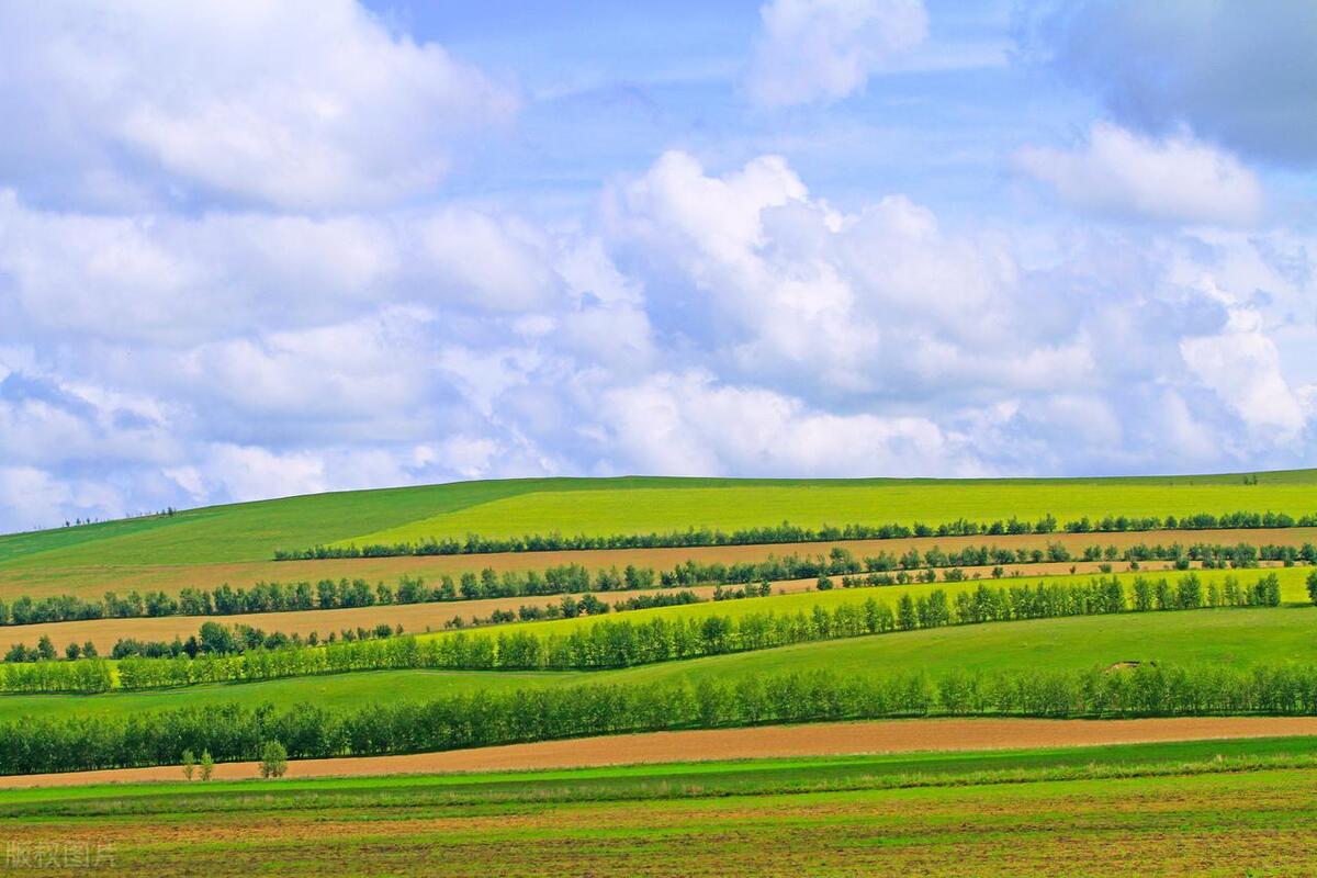 巨蟹女生在爱情中的表现_巨蟹座的女人性格_巨蟹女生性格特点