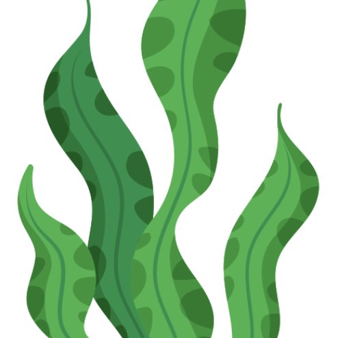 家长陪伴指南_请你跟我这样做游戏规则_亲子互动小游戏