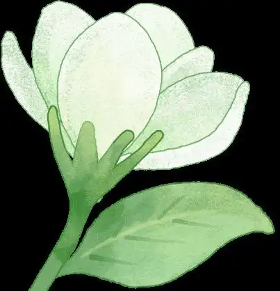 工程索赔管理与成本控制的艺术