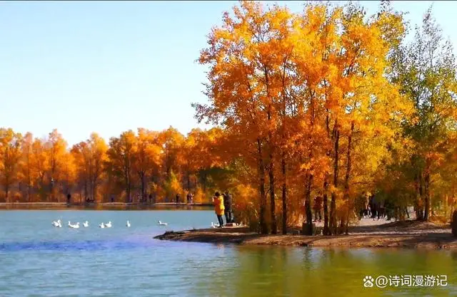 秋日诗意诗词_秋月秋色秋韵_描写秋天景色的文章