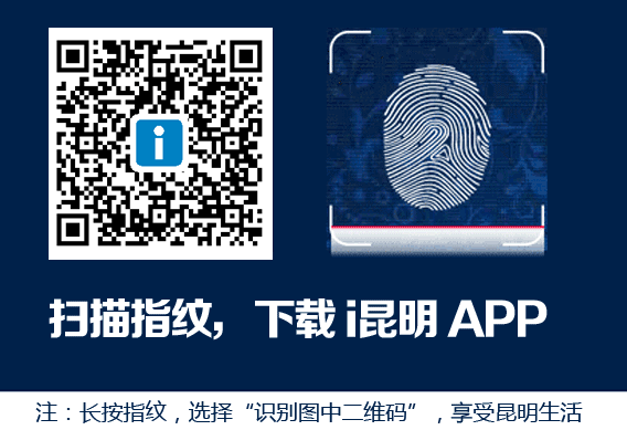 欧洲杯A组球队综述