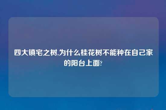 四大镇宅之树,为什么桂花树不能种在自己家的阳台上面?