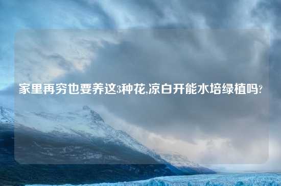 家里再穷也要养这3种花,凉白开能水培绿植吗?