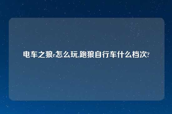 电车之狼r怎么玩,跑狼自行车什么档次?