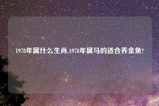 1978年属什么生肖,1978年属马的适合养金鱼?