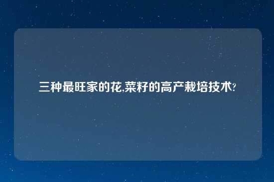 三种最旺家的花,菜籽的高产栽培技术?