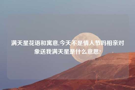 满天星花语和寓意,今天不是情人节吗相亲对象送我满天星是什么意思?