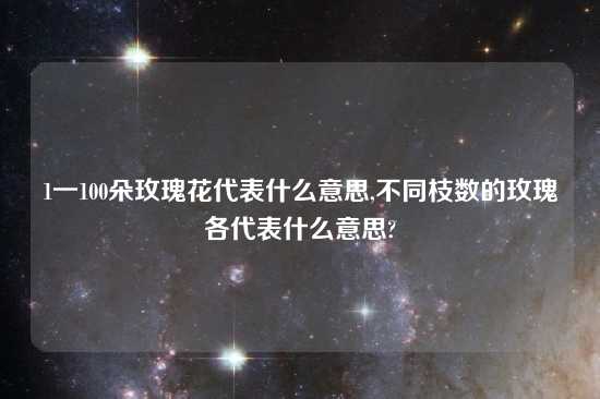 1一100朵玫瑰花代表什么意思,不同枝数的玫瑰各代表什么意思?