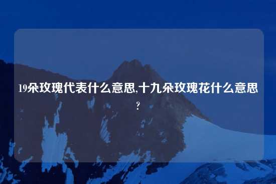 19朵玫瑰代表什么意思,十九朵玫瑰花什么意思?