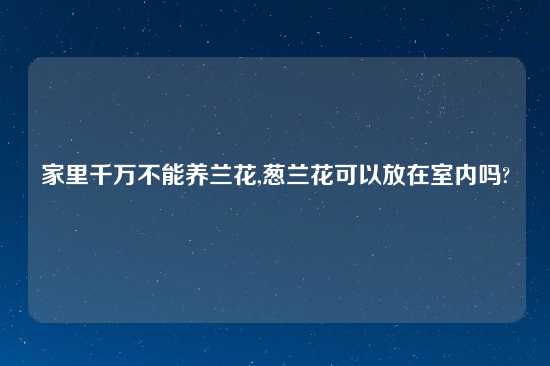 家里千万不能养兰花,葱兰花可以放在室内吗?