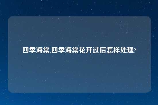 四季海棠,四季海棠花开过后怎样处理?