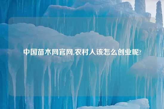 中国苗木网官网,农村人该怎么创业呢?