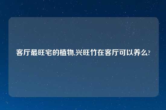 客厅最旺宅的植物,兴旺竹在客厅可以养么?