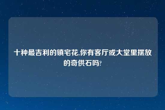 十种最吉利的镇宅花,你有客厅或大堂里摆放的奇供石吗?