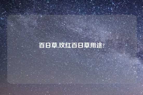 百日草,玫红百日草用途?