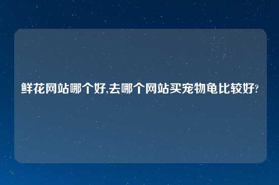 鲜花网站哪个好,去哪个网站买宠物龟比较好?