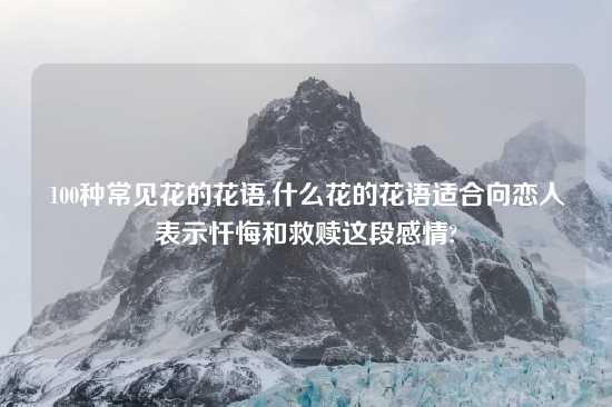 100种常见花的花语,什么花的花语适合向恋人表示忏悔和救赎这段感情?