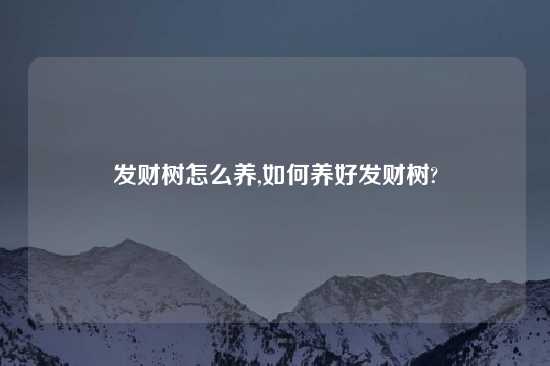 发财树怎么养,如何养好发财树?