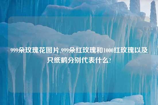 999朵玫瑰花图片,999朵红玫瑰和1000红玫瑰以及只纸鹤分别代表什么?