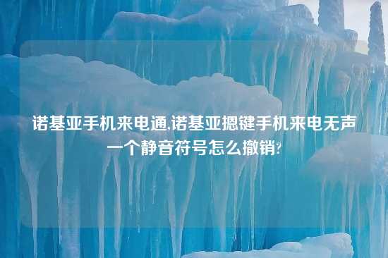 诺基亚手机来电通,诺基亚摁键手机来电无声一个静音符号怎么撤销?