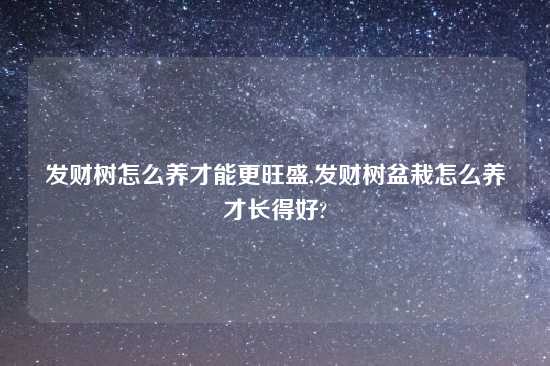 发财树怎么养才能更旺盛,发财树盆栽怎么养才长得好?