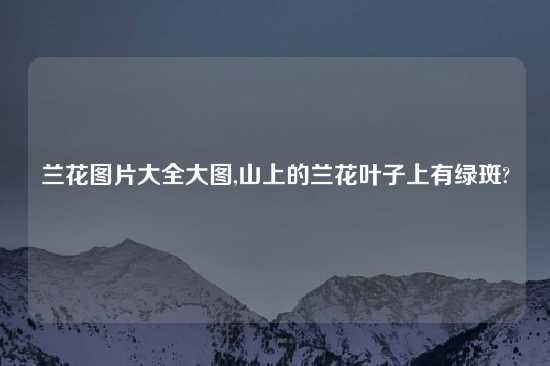 兰花图片大全大图,山上的兰花叶子上有绿斑?
