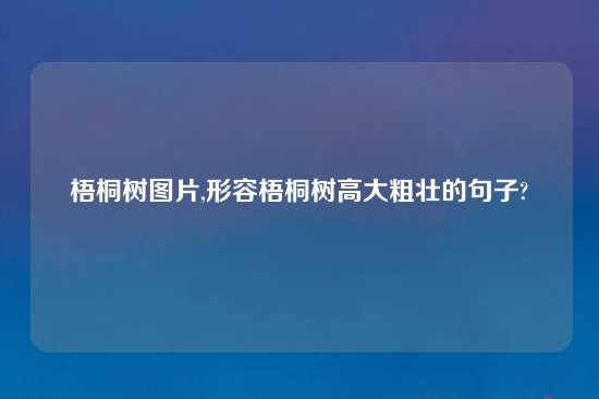 梧桐树图片,形容梧桐树高大粗壮的句子?