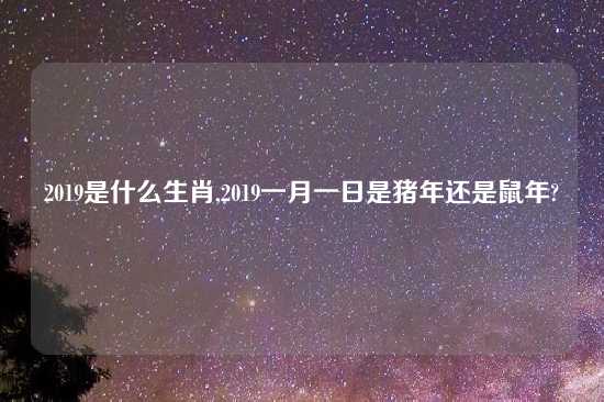 2019是什么生肖,2019一月一日是猪年还是鼠年?