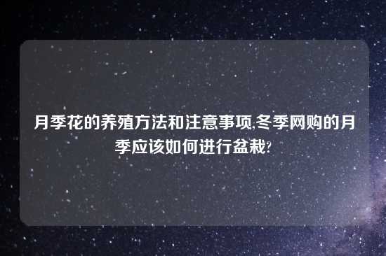 月季花的养殖方法和注意事项,冬季网购的月季应该如何进行盆栽?