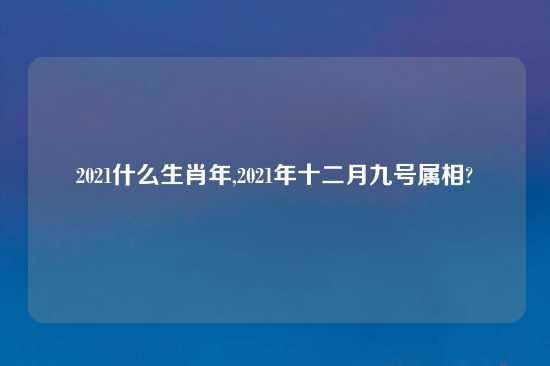 2021什么生肖年,2021年十二月九号属相?