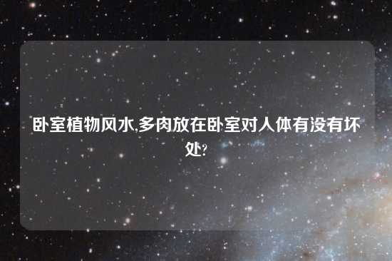 卧室植物风水,多肉放在卧室对人体有没有坏处?