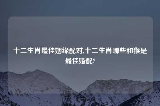 十二生肖最佳姻缘配对,十二生肖哪些和猴是最佳婚配?