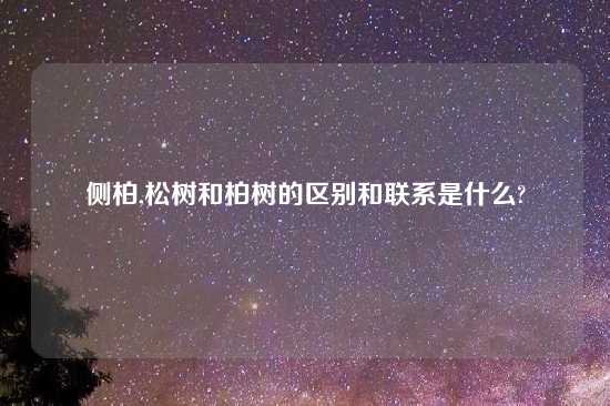 侧柏,松树和柏树的区别和联系是什么?