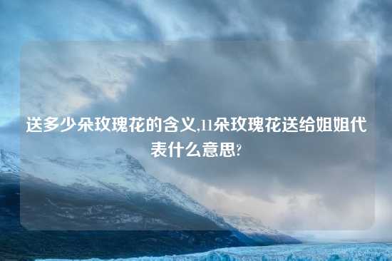 送多少朵玫瑰花的含义,11朵玫瑰花送给姐姐代表什么意思?