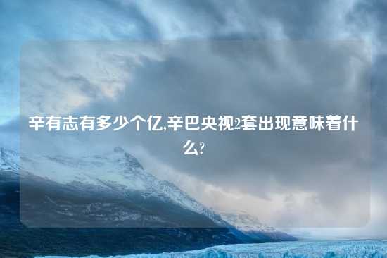 辛有志有多少个亿,辛巴央视2套出现意味着什么?