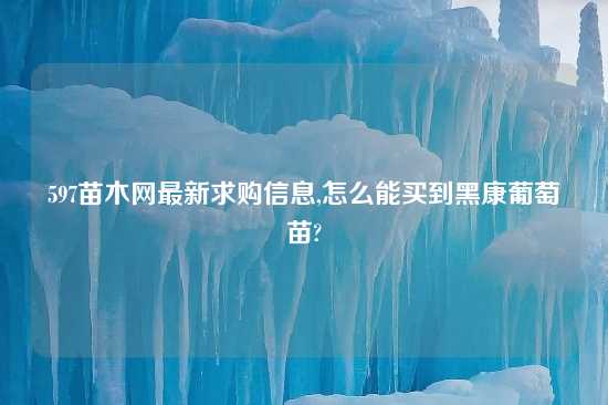 597苗木网最新求购信息,怎么能买到黑康葡萄苗?