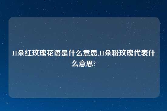 11朵红玫瑰花语是什么意思,11朵粉玫瑰代表什么意思?