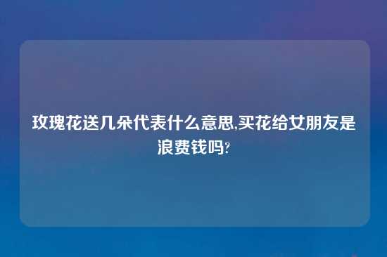 玫瑰花送几朵代表什么意思,买花给女朋友是浪费钱吗?